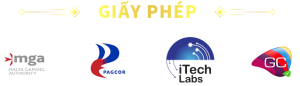 giấy phép kv999